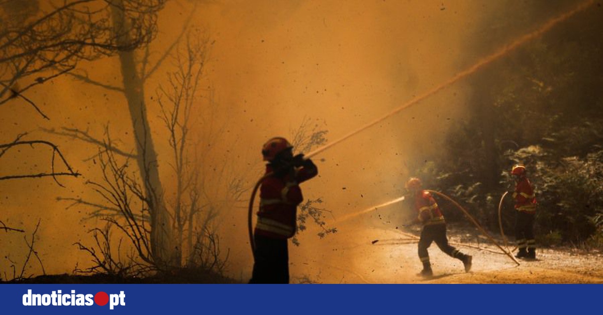 DNOTICIAS.PT