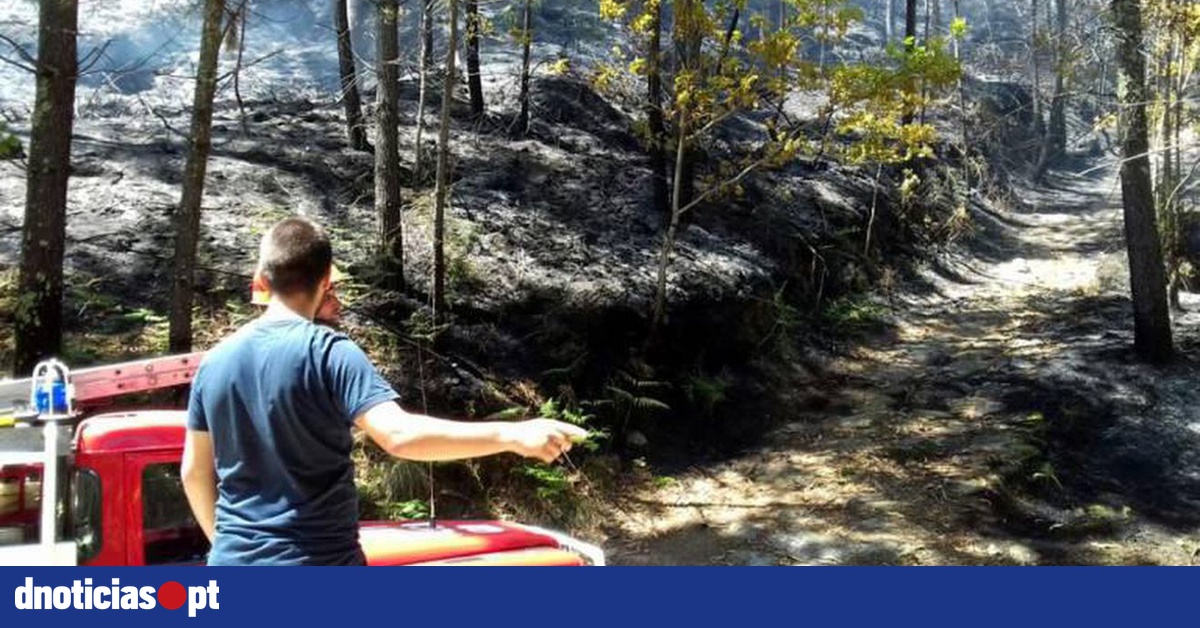 Incêndio dominado na serra de Monchique — DNOTICIAS.PT