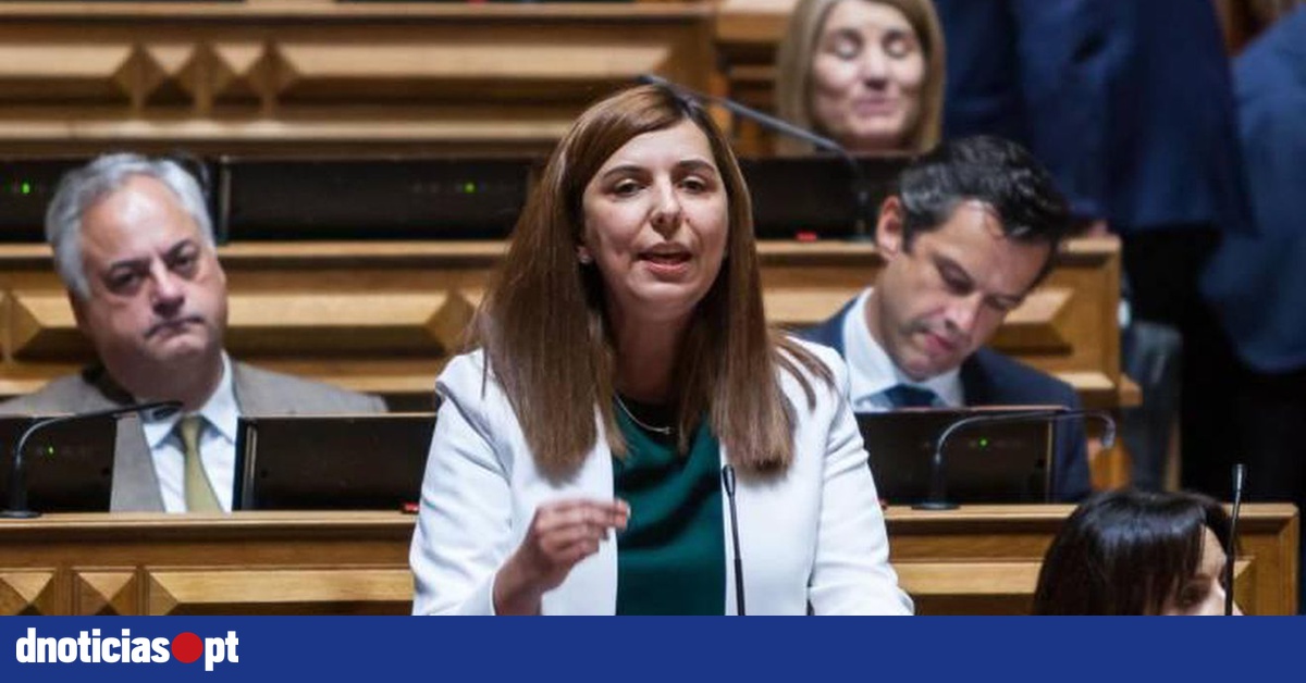 Sara Madruga da Costa defende direito dos sem-abrigo a uma ...