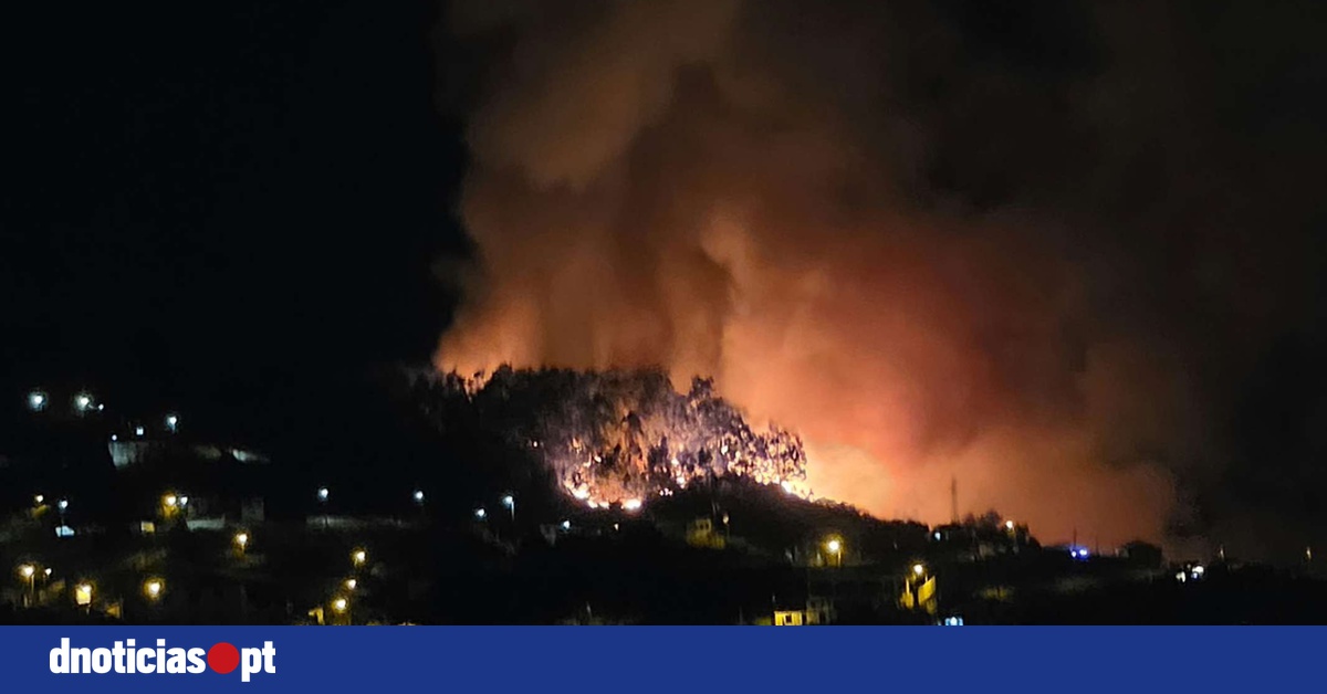 DNOTICIAS.PT