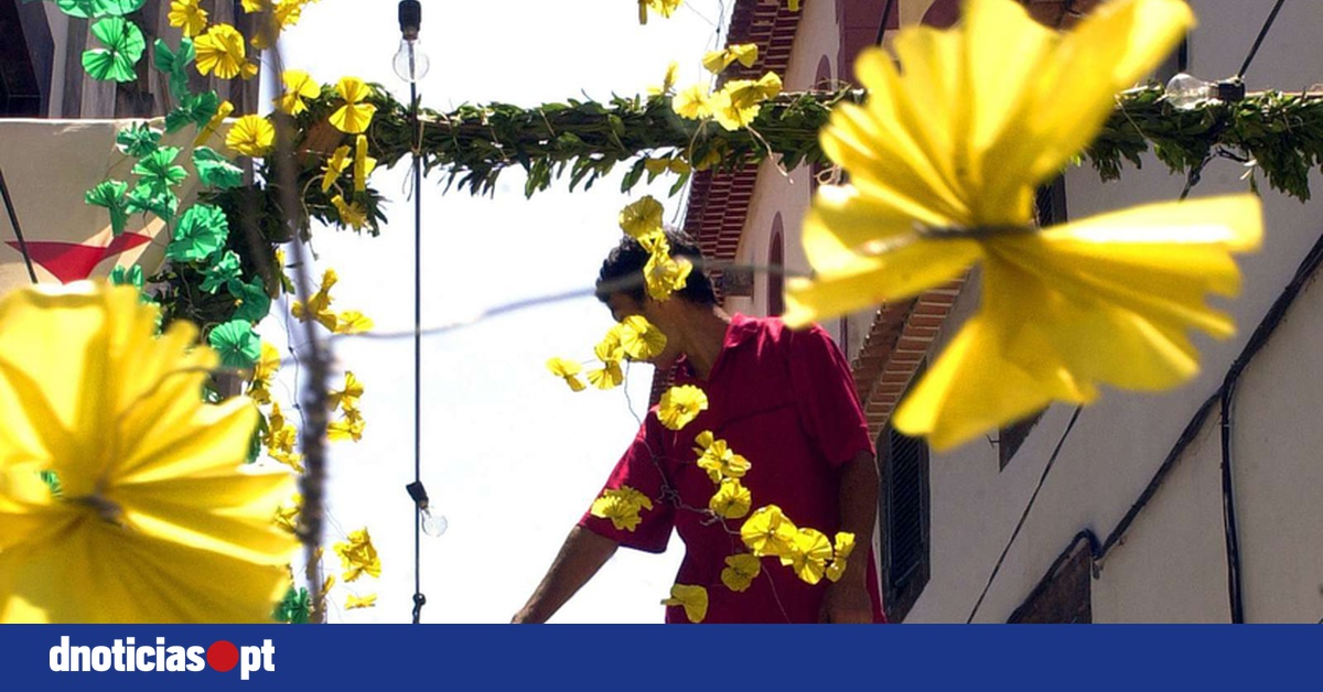 DNOTICIAS.PT