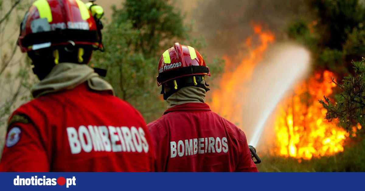 DNOTICIAS.PT