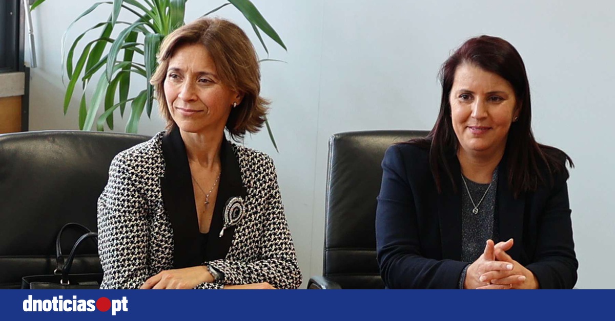 DNOTICIAS.PT