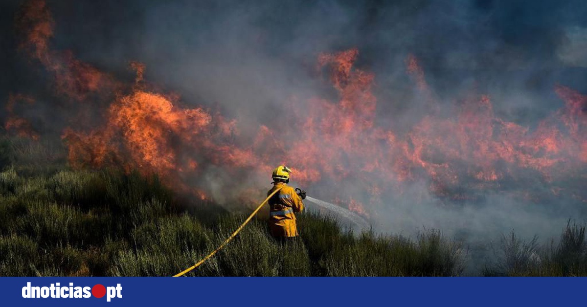 Mais De 30 Concelhos De Sete Distritos Do Continente Em Perigo Máximo De Incêndio — Dnoticiaspt 2124