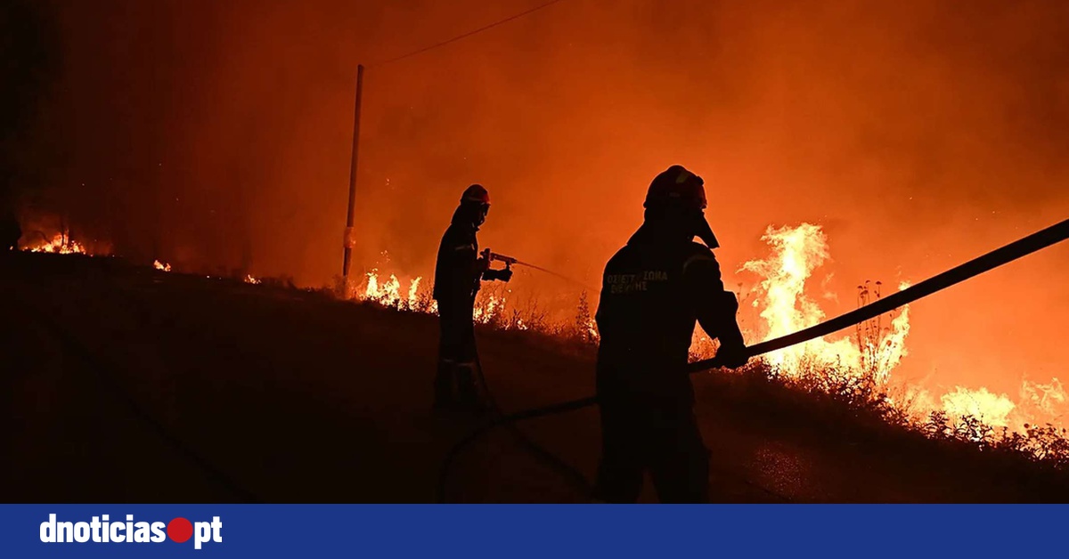 DNOTICIAS.PT