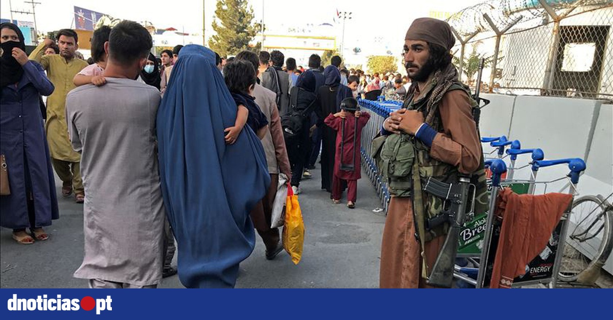 La reactivación de la economía afgana es «posible» gracias a la acción de los talibanes y la ayuda exterior — DNOTICIAS.PT