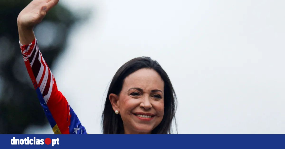 DNOTICIAS.PT