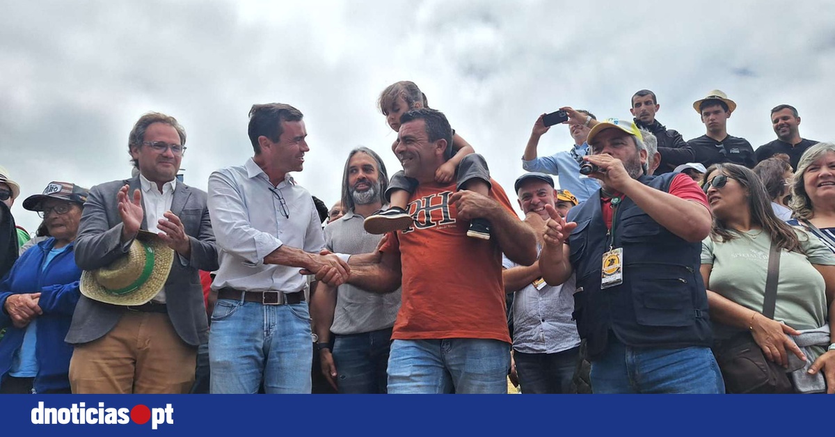DNOTICIAS.PT