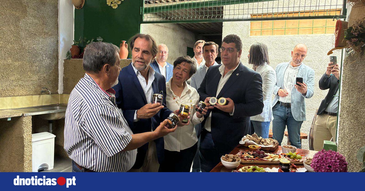 DNOTICIAS.PT