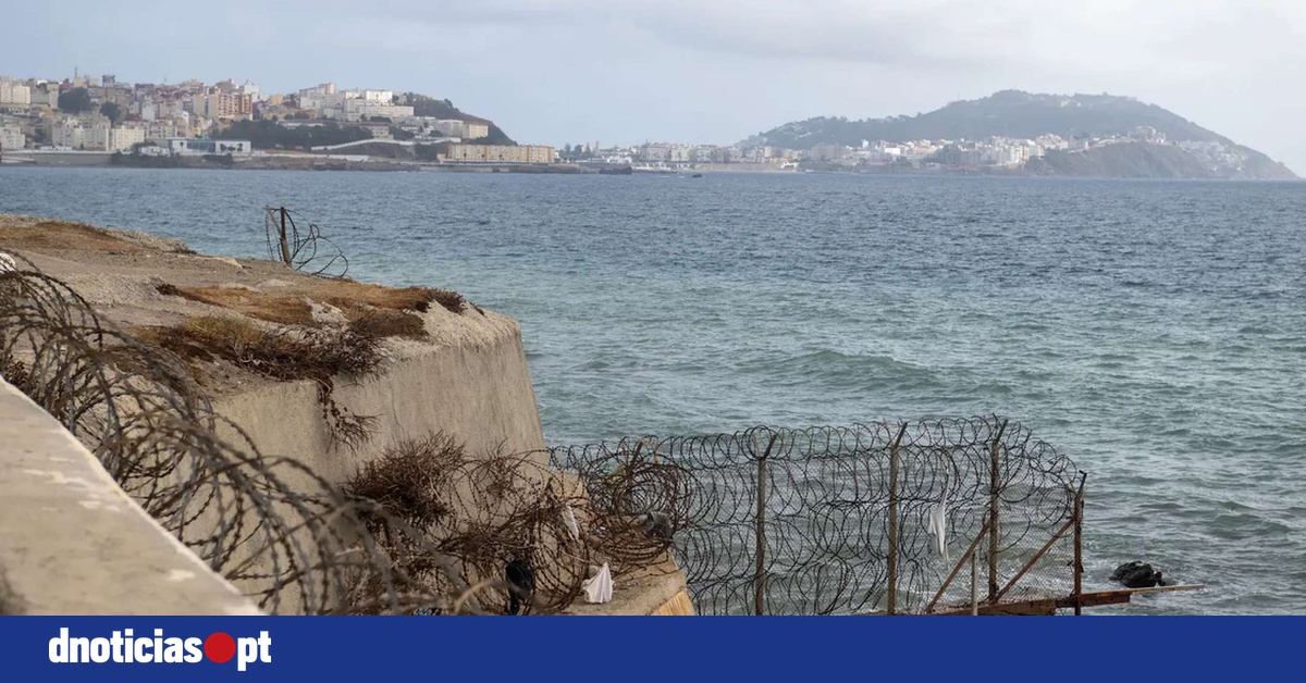 DNOTICIAS.PT