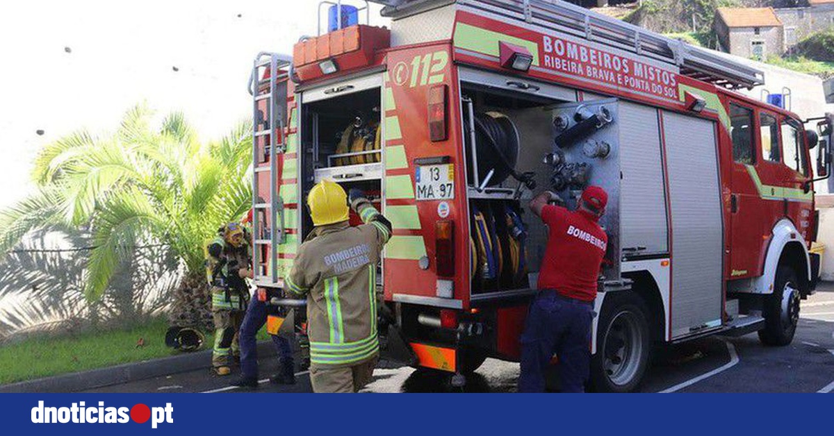 DNOTICIAS.PT
