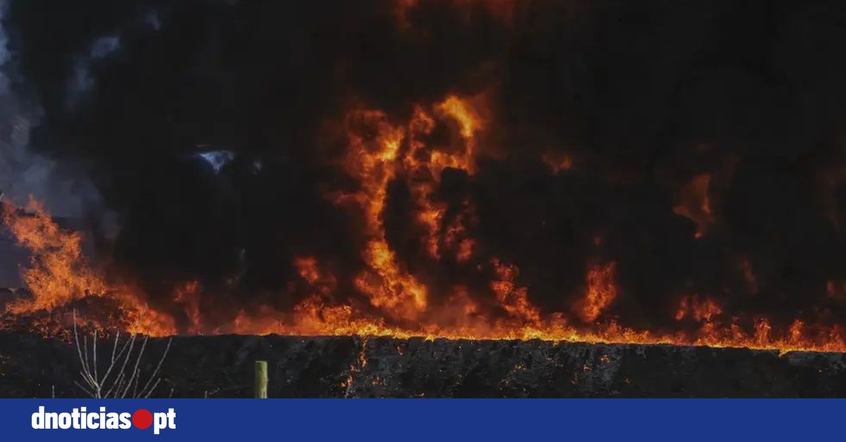 DNOTICIAS.PT