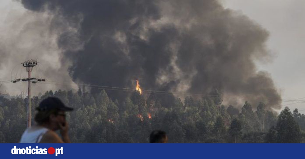 DNOTICIAS.PT