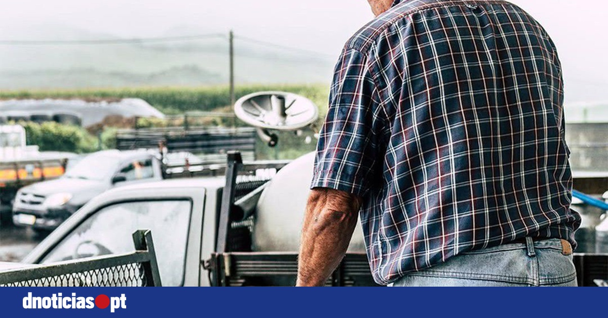 DNOTICIAS.PT