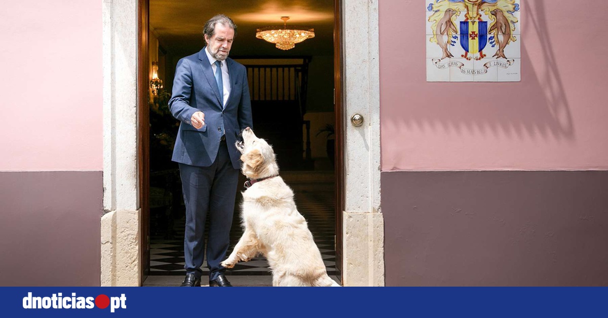 DNOTICIAS.PT