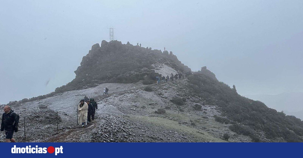DNOTICIAS.PT