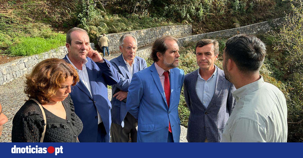 DNOTICIAS.PT