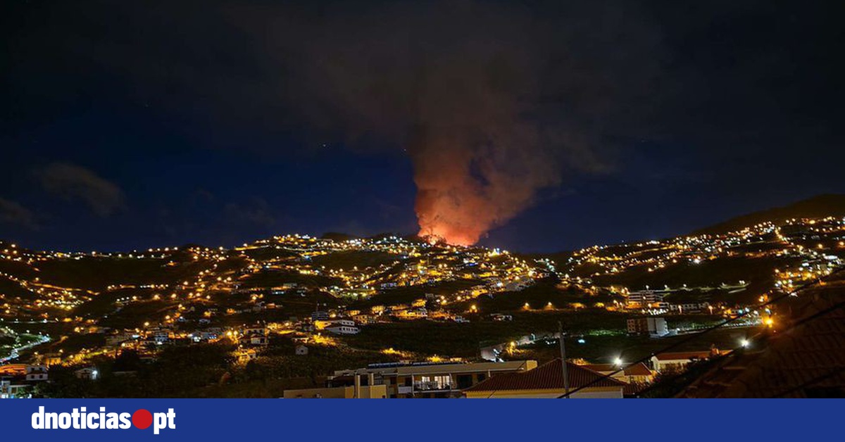 DNOTICIAS.PT
