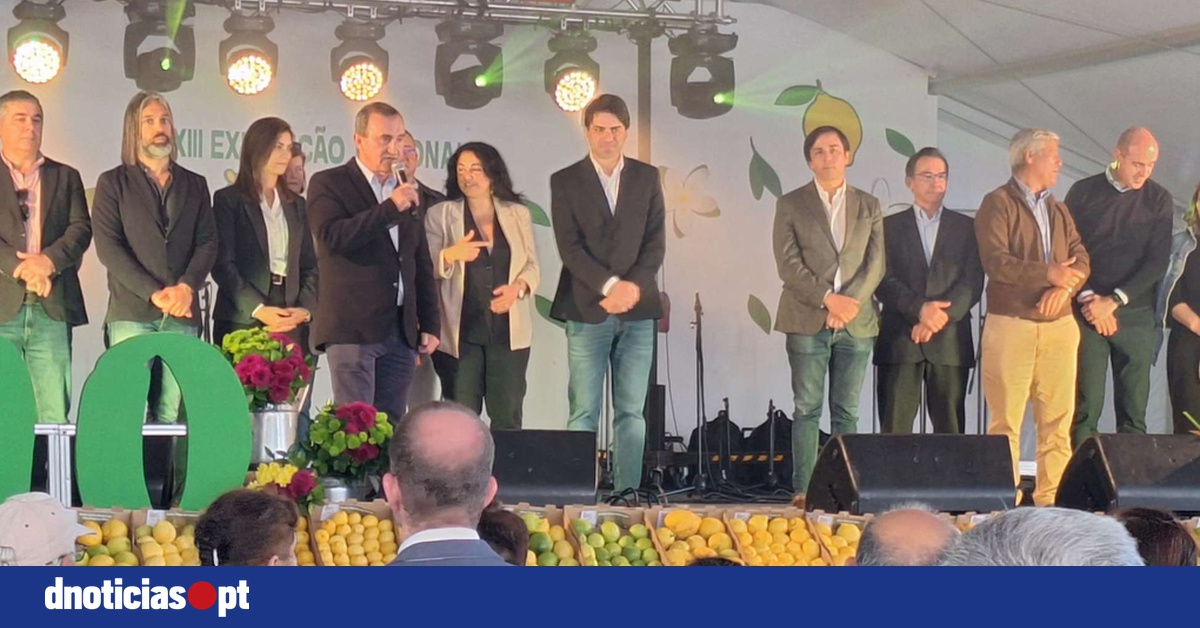 DNOTICIAS.PT