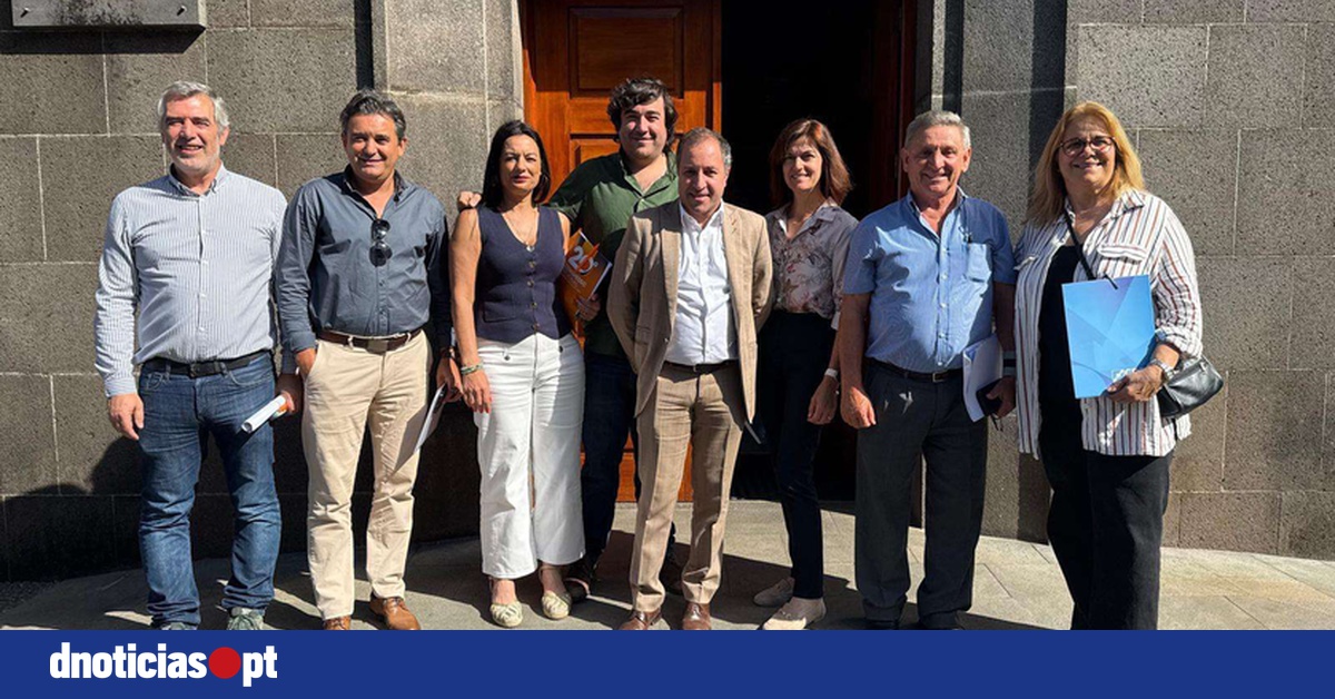 DNOTICIAS.PT