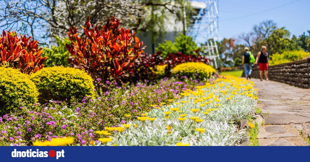 DNOTICIAS.PT