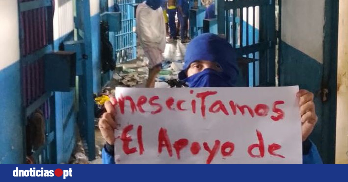 DNOTICIAS.PT
