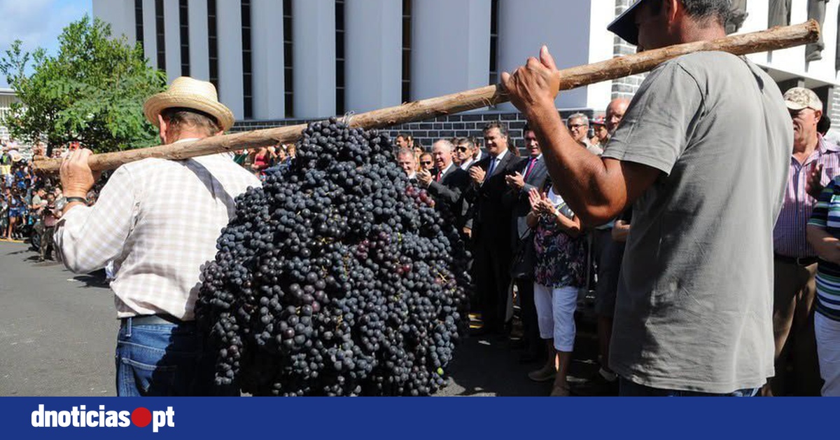 DNOTICIAS.PT