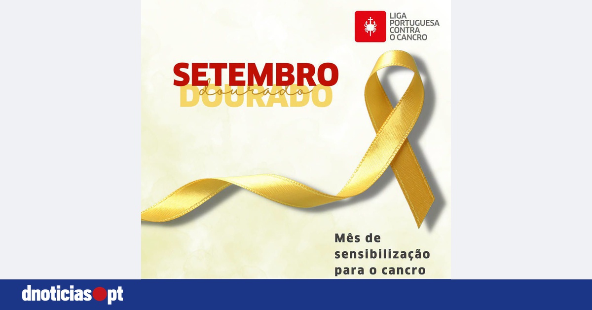 DNOTICIAS.PT
