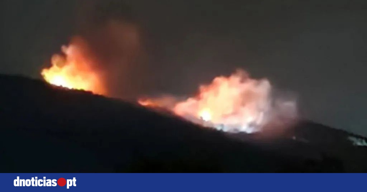 DNOTICIAS.PT