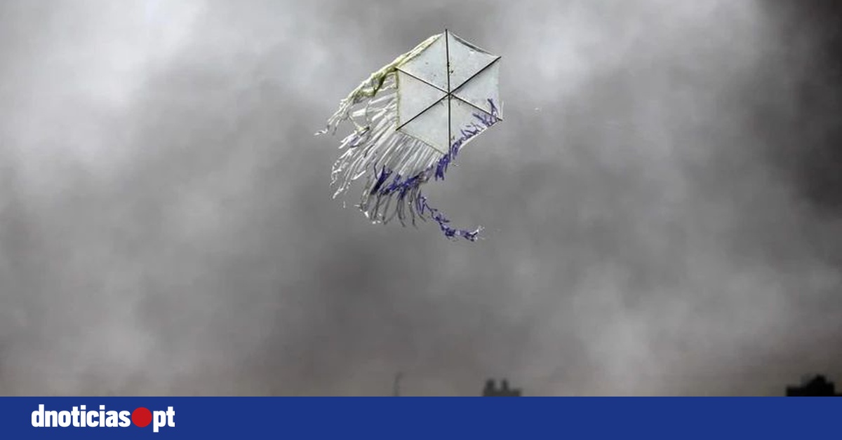 DNOTICIAS.PT