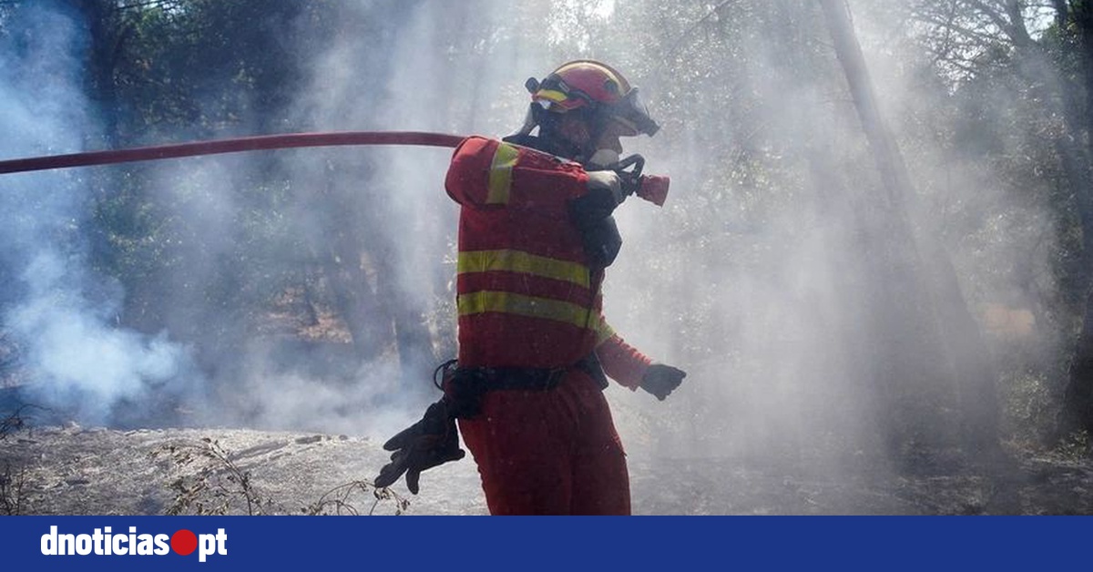 DNOTICIAS.PT