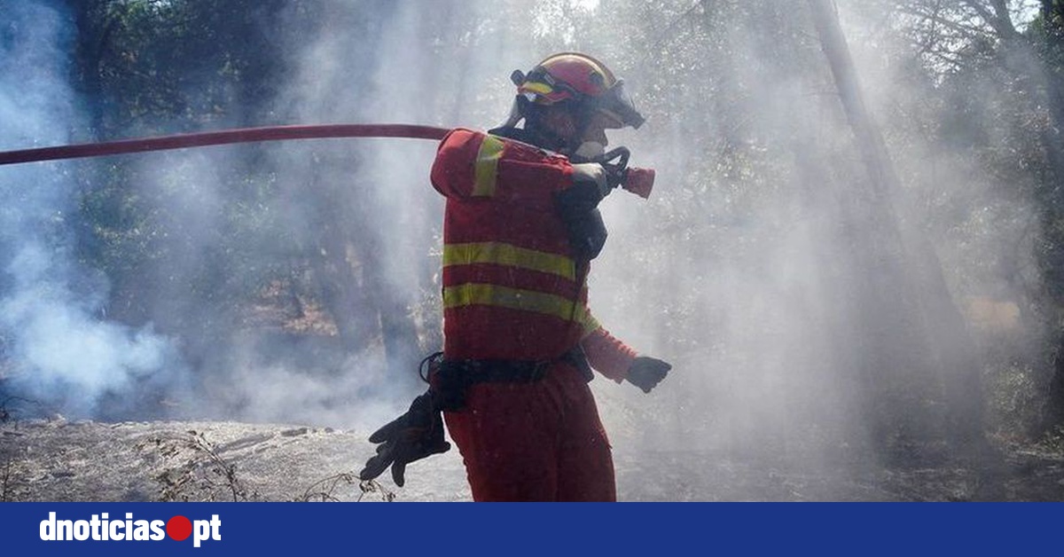 DNOTICIAS.PT