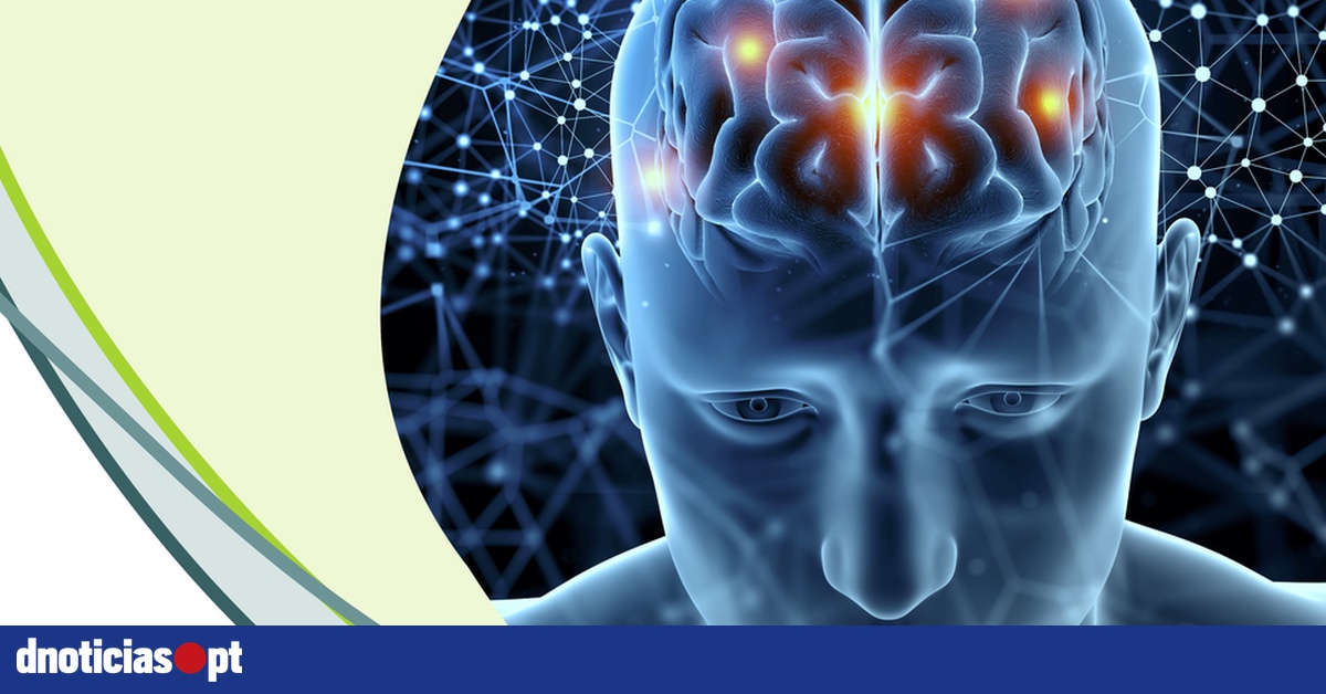 Dia da Pessoa com Alzheimer assinalado pela CMF — DNOTICIAS.PT