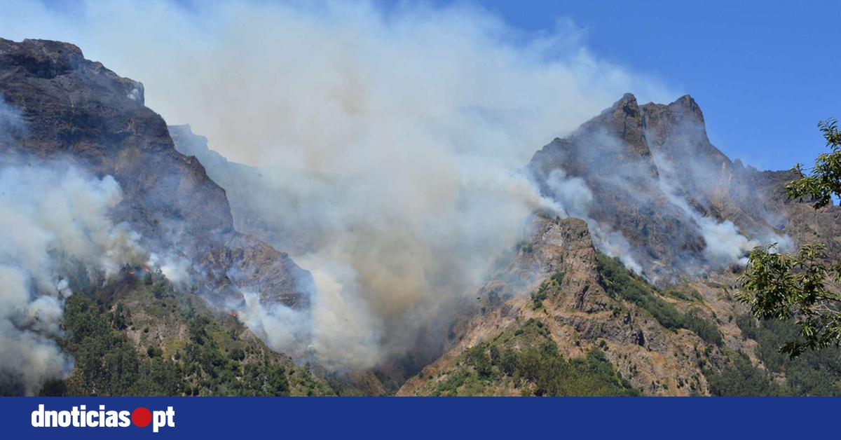 DNOTICIAS.PT