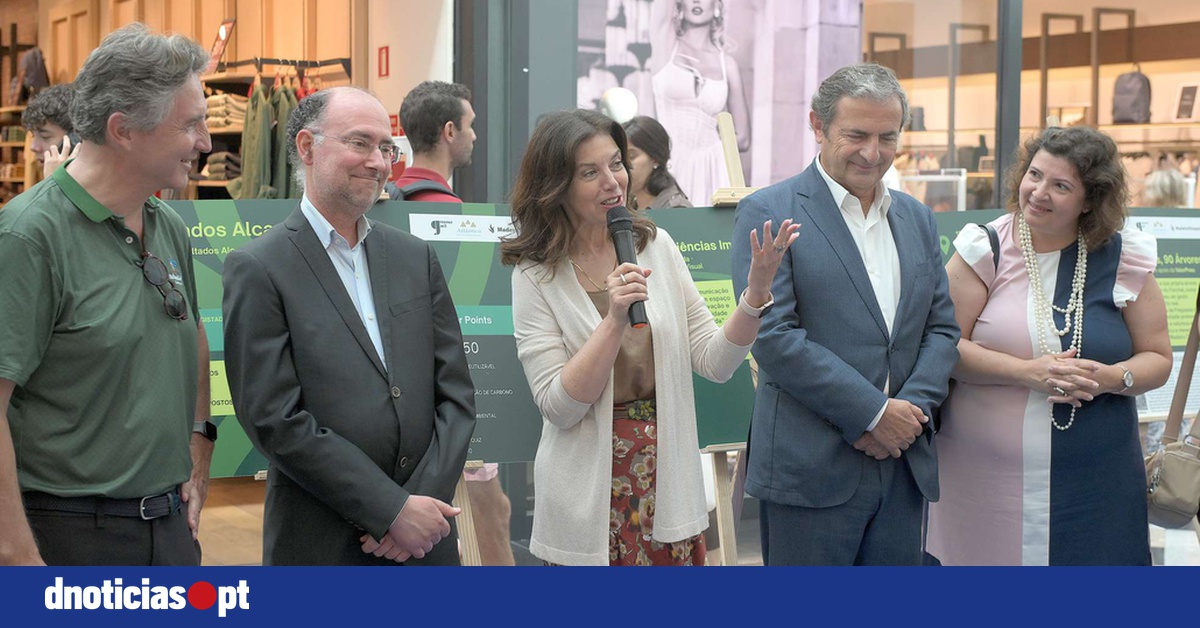 DNOTICIAS.PT