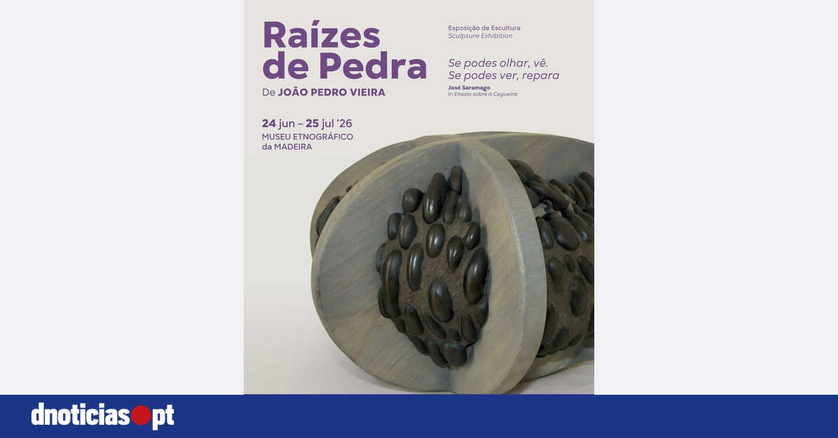 DNOTICIAS.PT