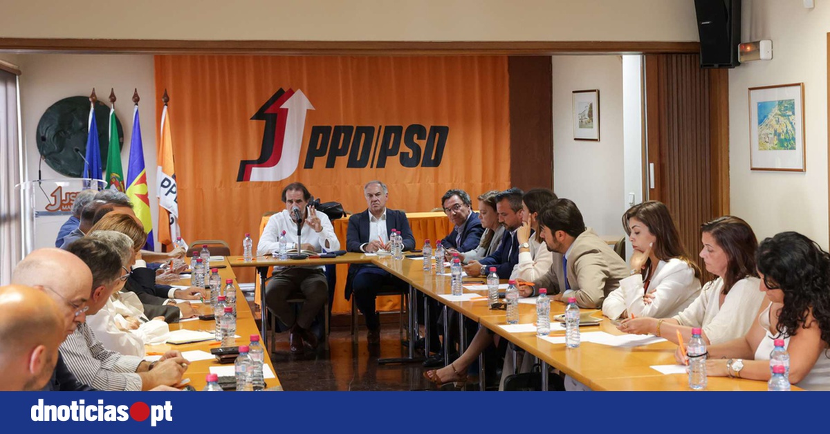 DNOTICIAS.PT