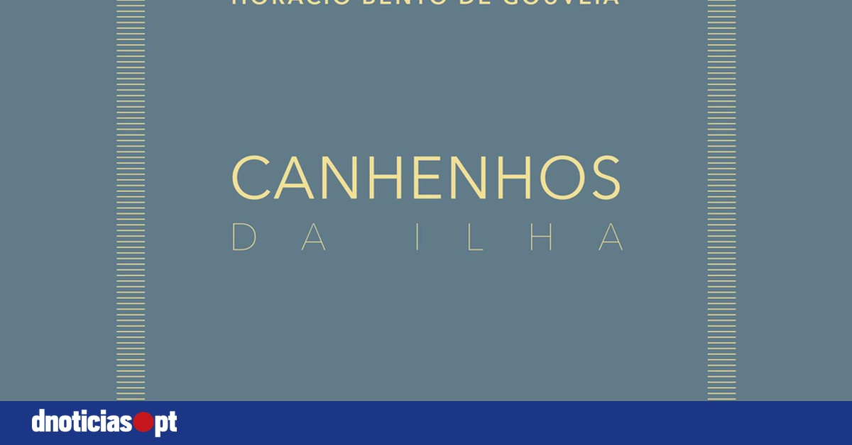 DNOTICIAS.PT