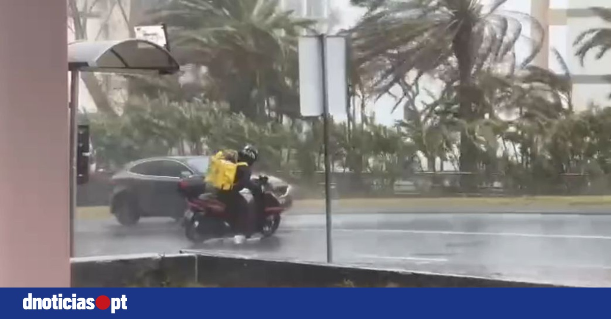 DNOTICIAS.PT