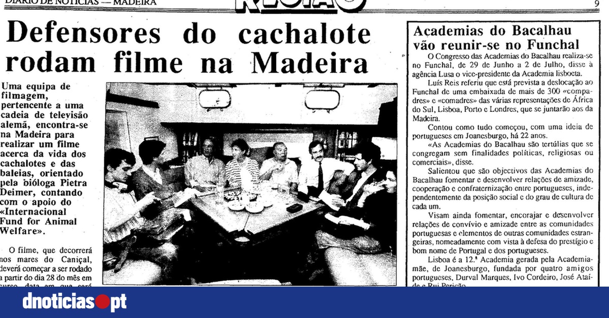 DNOTICIAS.PT