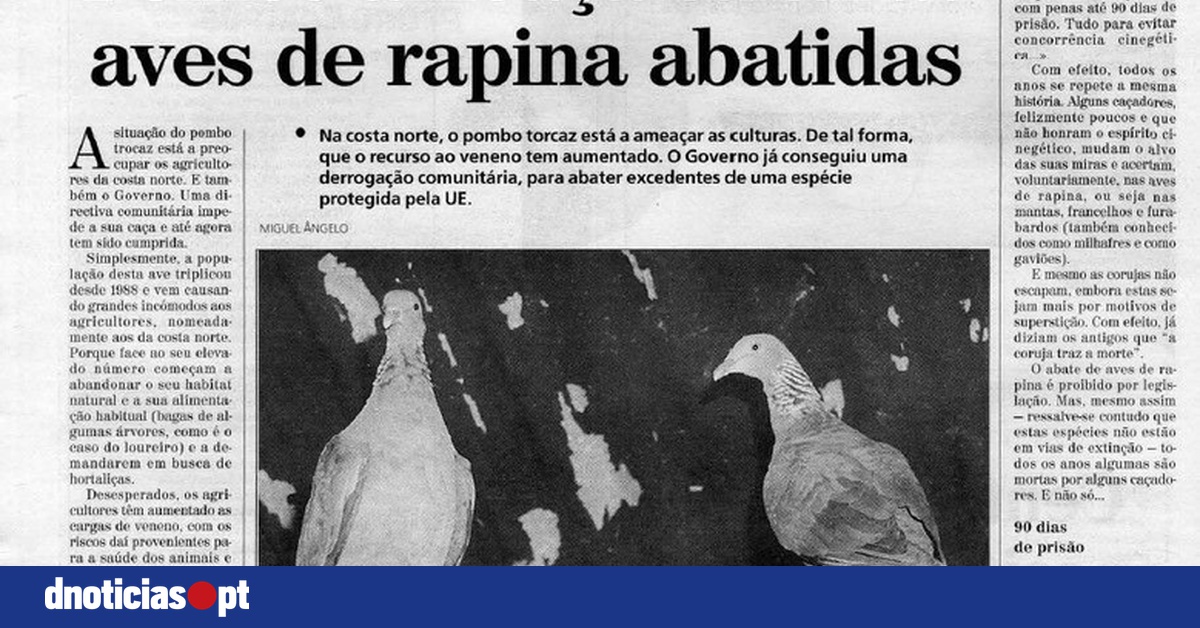 DNOTICIAS.PT