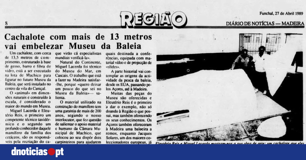 DNOTICIAS.PT