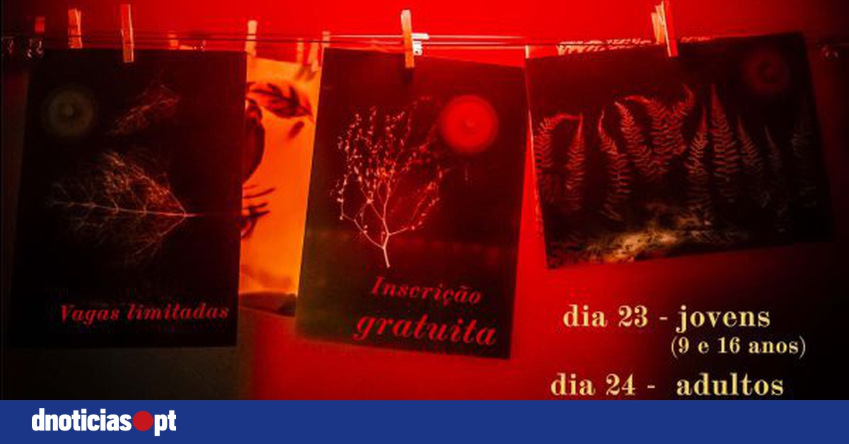 DNOTICIAS.PT