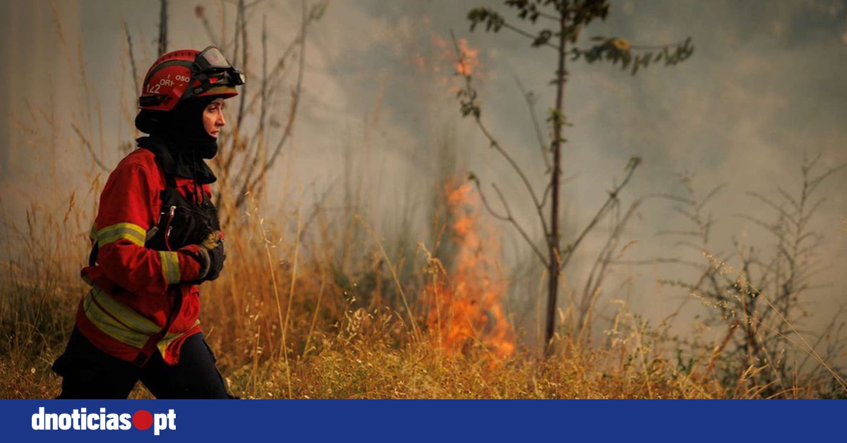 DNOTICIAS.PT