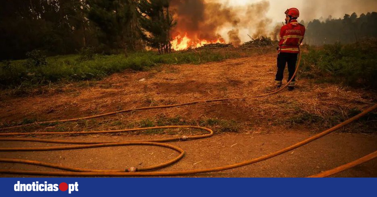 DNOTICIAS.PT