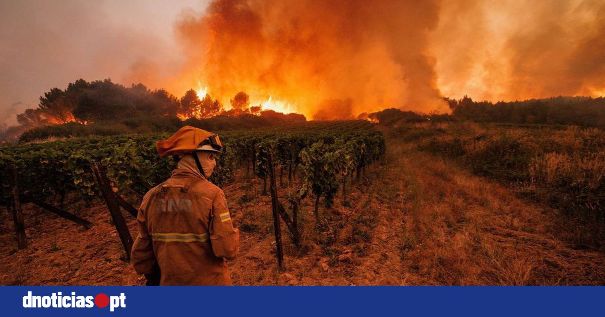 DNOTICIAS.PT