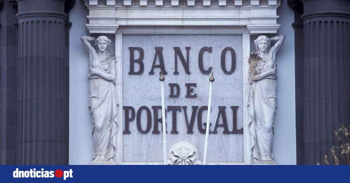 DNOTICIAS.PT