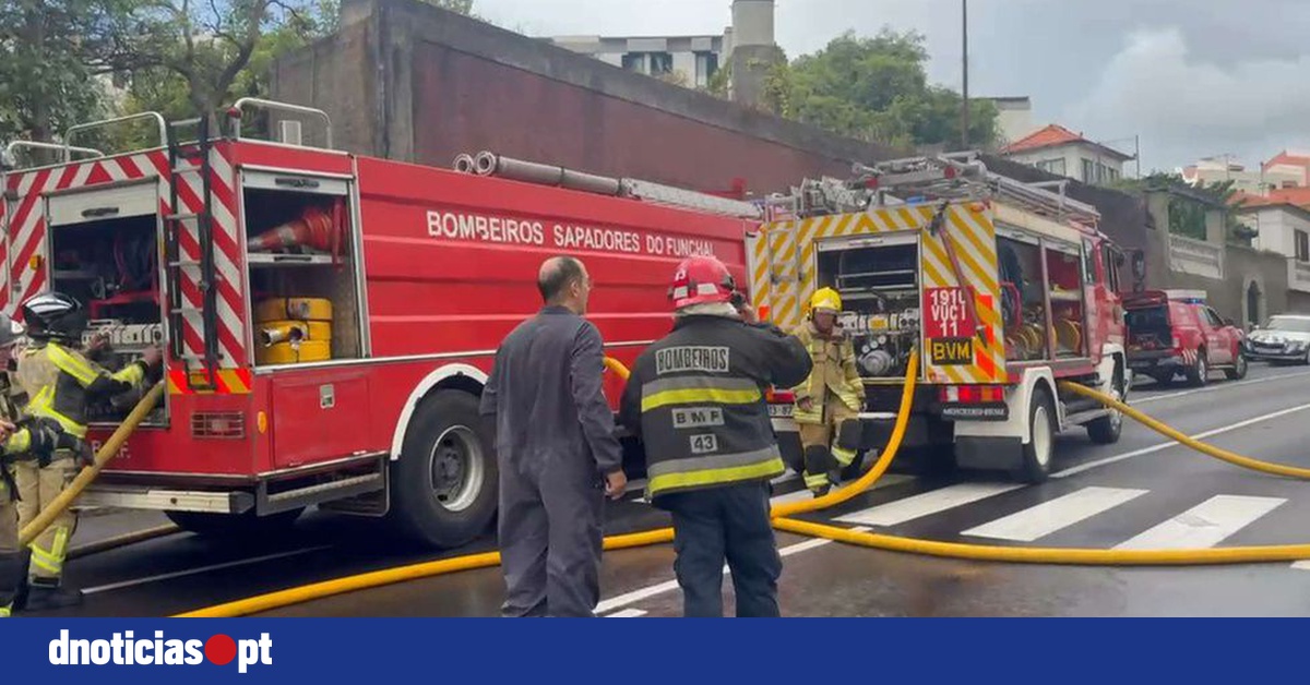 DNOTICIAS.PT