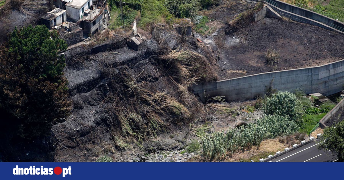 Resilience in the Face of Destruction: Madeira's Community Unites After Devastating Wildfire