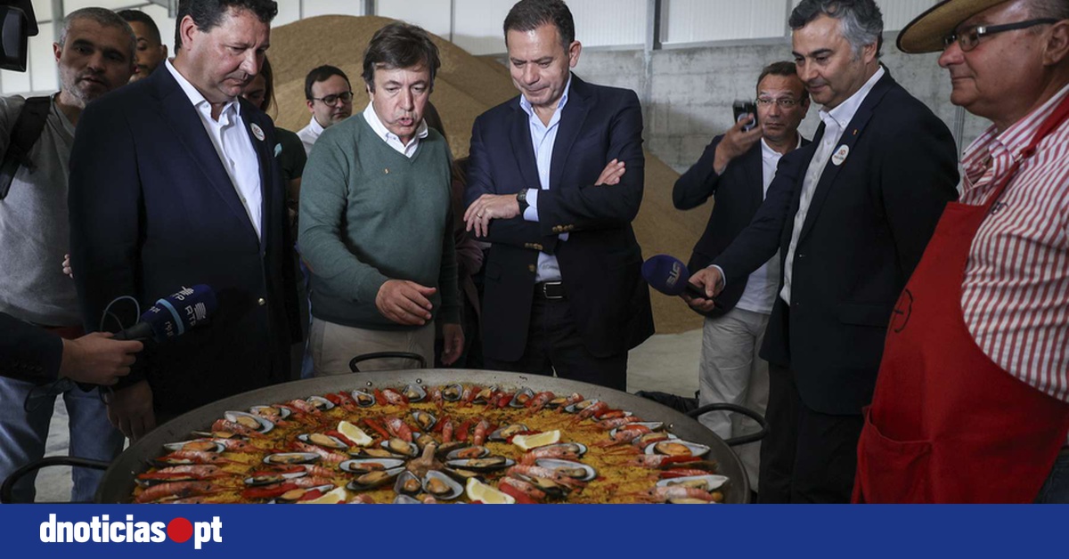 DNOTICIAS.PT